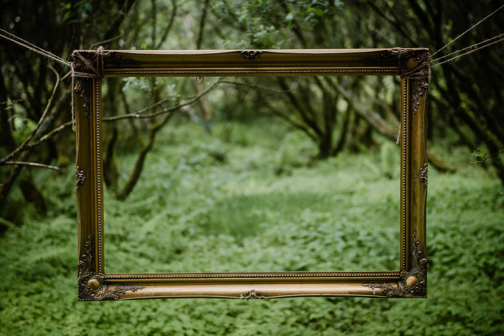 a gold frame hanging in the woods at Kudhva, Tintagel, framing nature