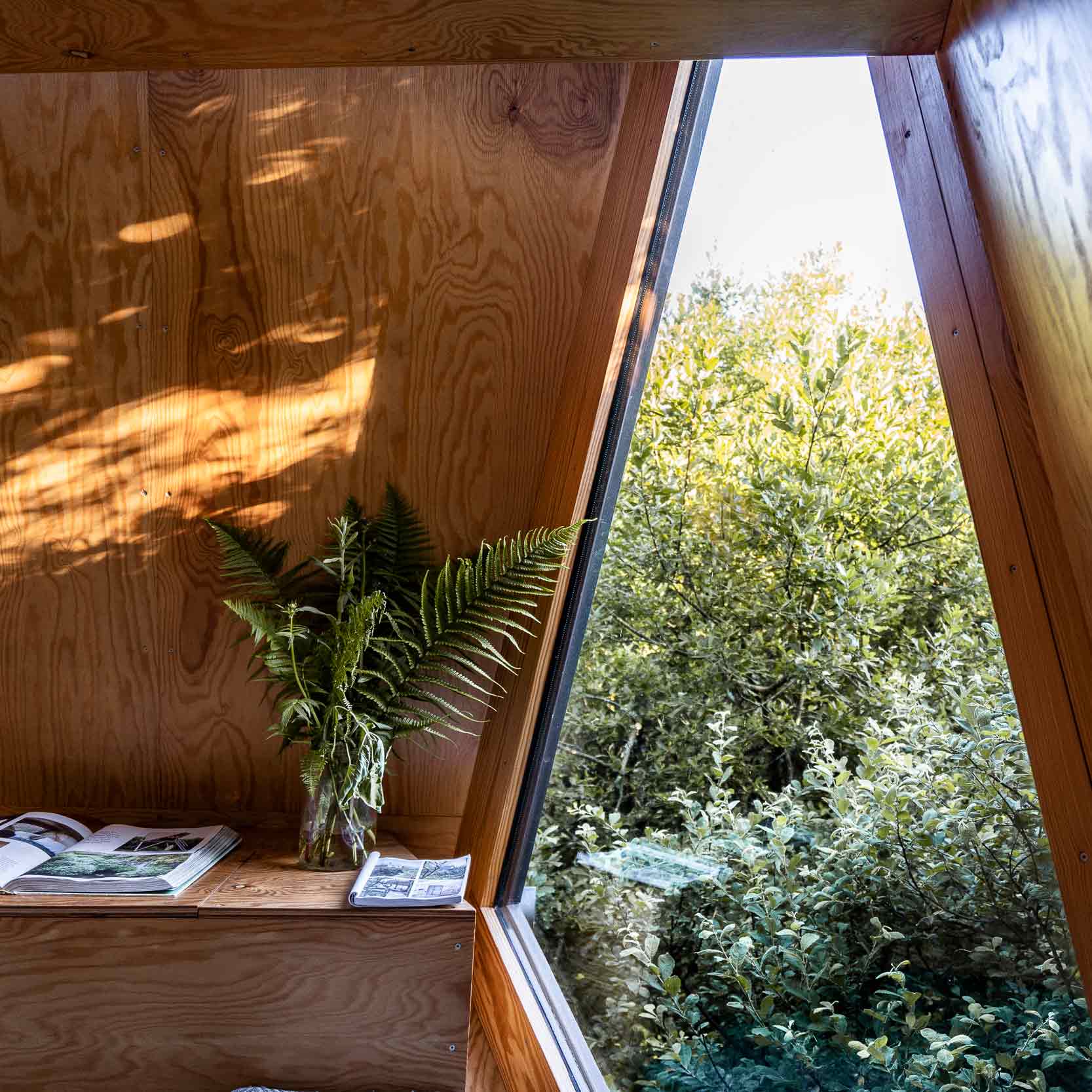 sunlight streaming through the window of K3 Kudhva cabin, surrounded by Cornish woodland